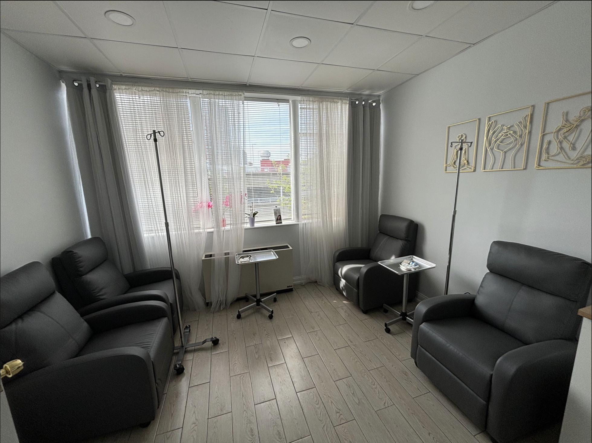 Wellness IV
